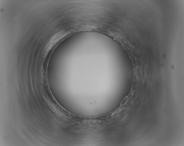 X0000076400242200610271625