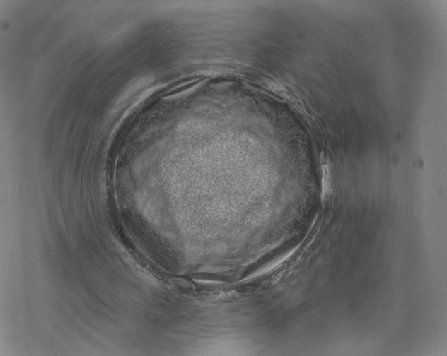 X0000076400243200610271625