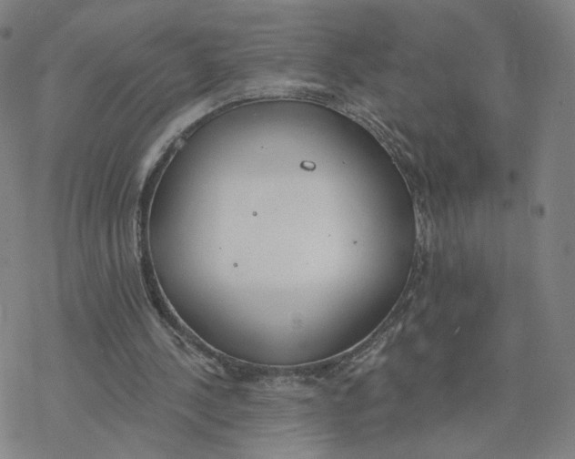 X0000076400244200610271625