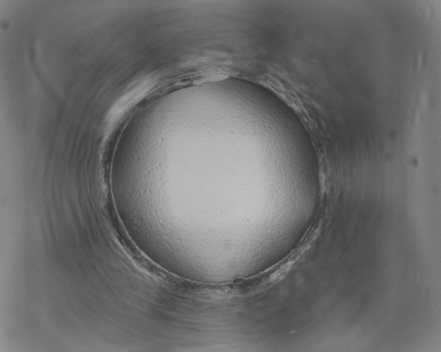 X0000076400245200610271625