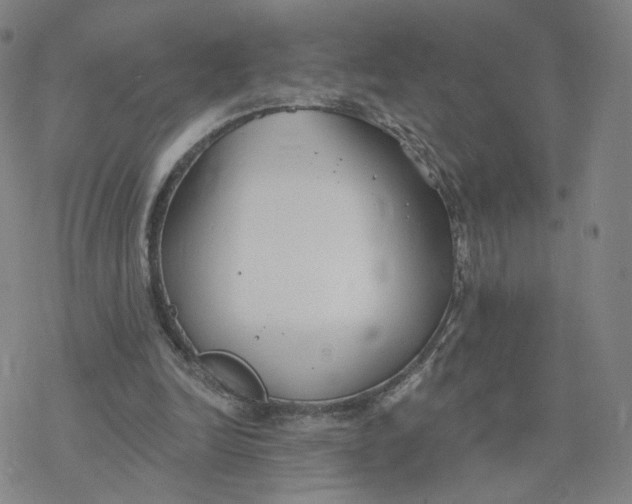 X0000076400246200610271625