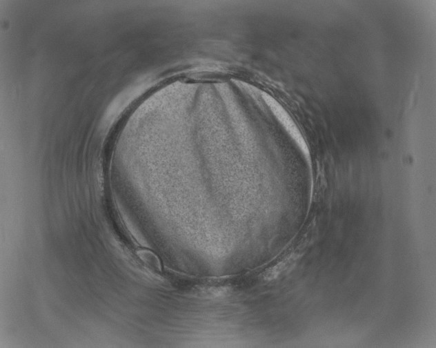 X0000076400247200610271625