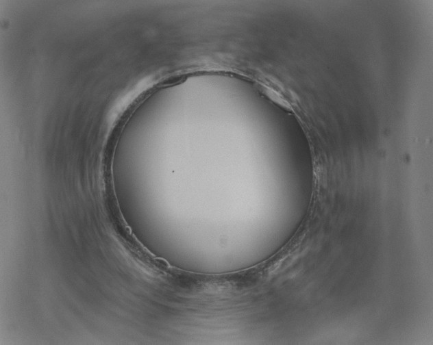 X0000076400248200610271625