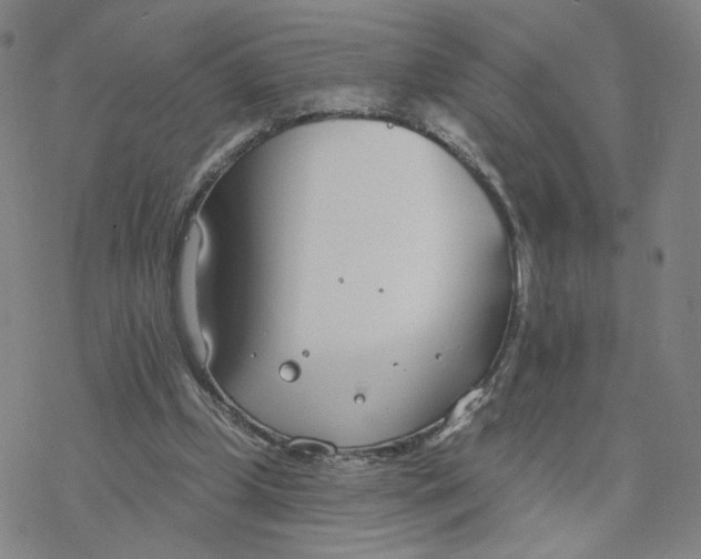 X0000076400249200610271625