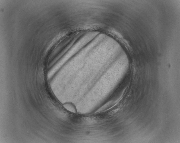 X0000076400250200610271625