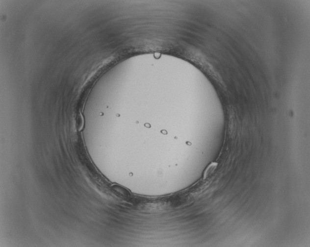 X0000076400251200610271625