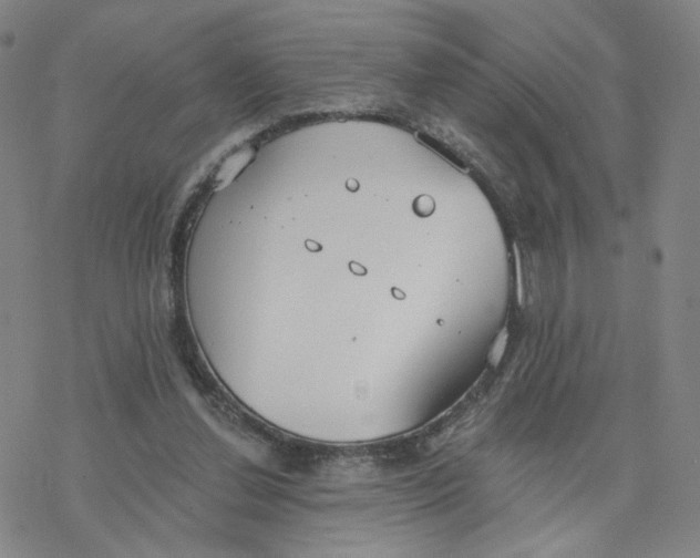 X0000076400252200610271625