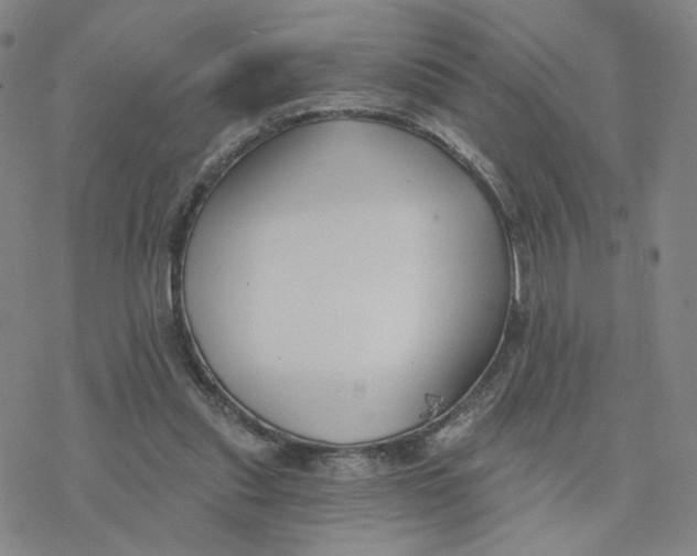 X0000076400253200610271625