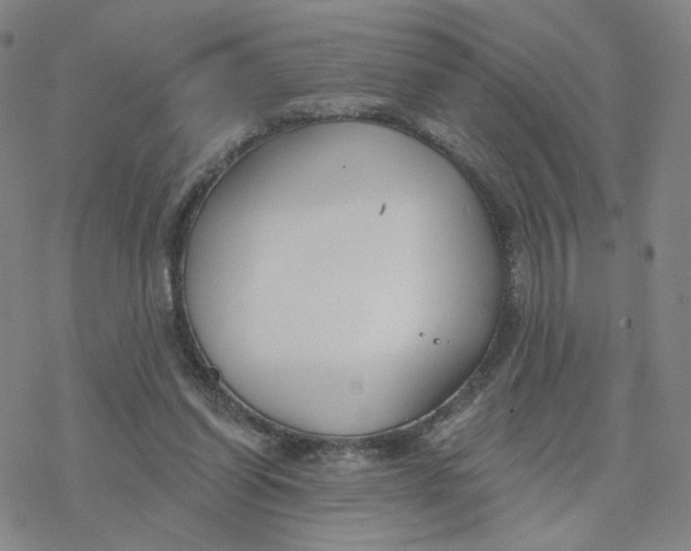 X0000076400254200610271625