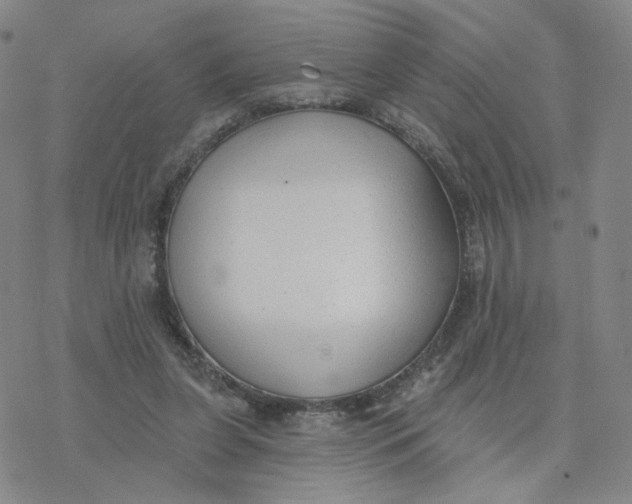 X0000076400255200610271625