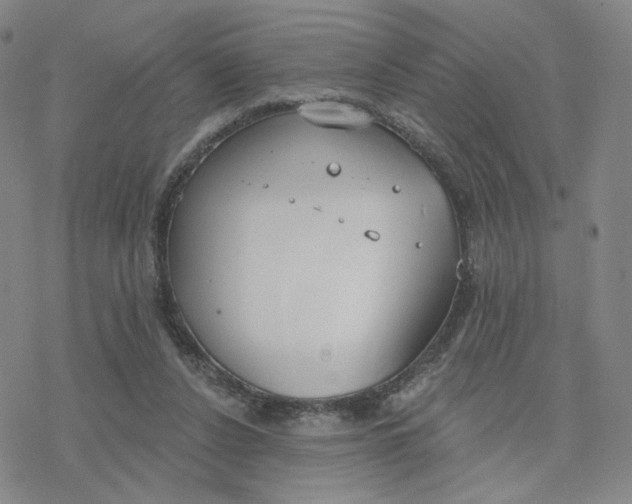 X0000076400256200610271625