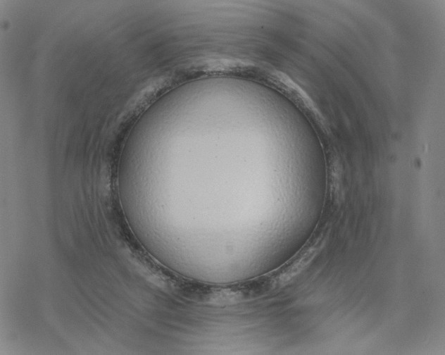 X0000076400257200610271625