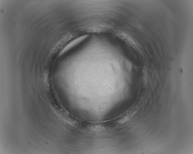 X0000076400258200610271625