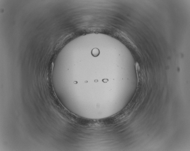 X0000076400259200610271625