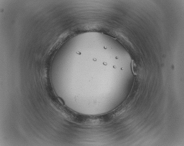 X0000076400260200610271625