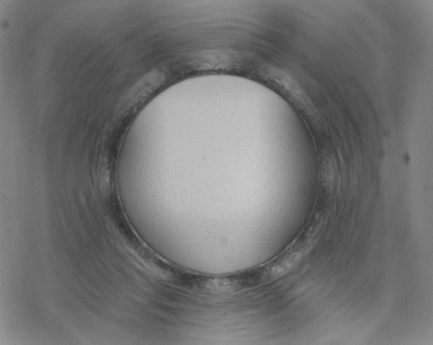 X0000076400261200610271625