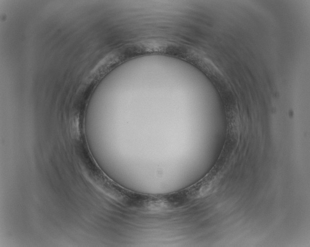 X0000076400262200610271625