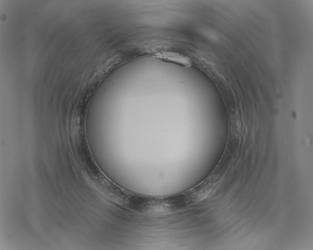 X0000076400263200610271625