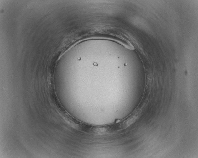 X0000076400265200610271625