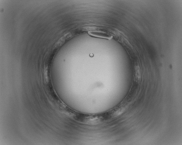 X0000076400267200610271625