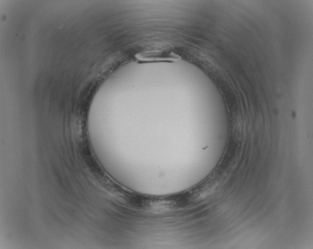 X0000076400268200610271625