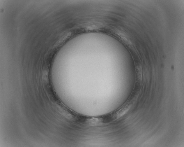 X0000076400269200610271625