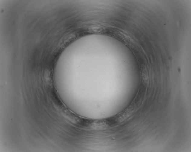 X0000076400270200610271625