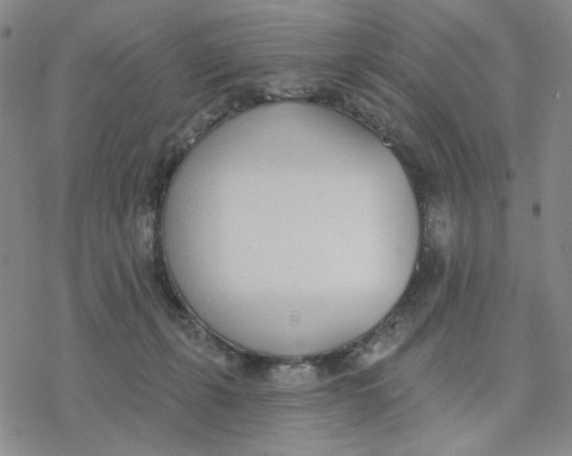 X0000076400271200610271625