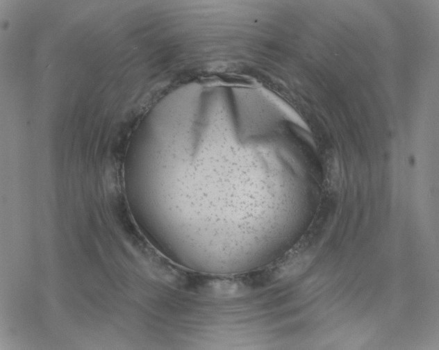 X0000076400272200610271625