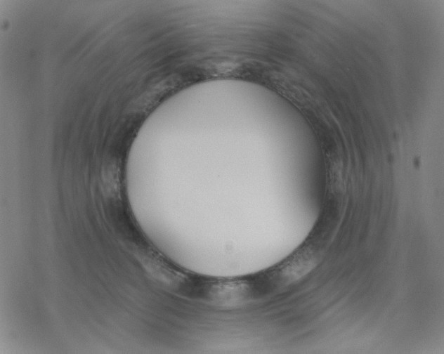 X0000076400274200610271625