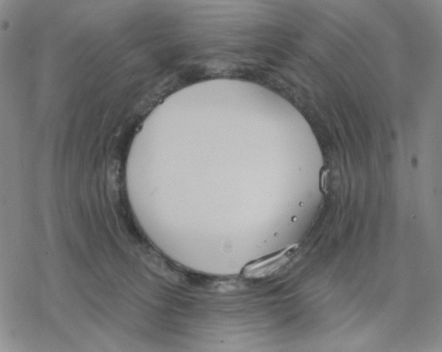 X0000076400275200610271625