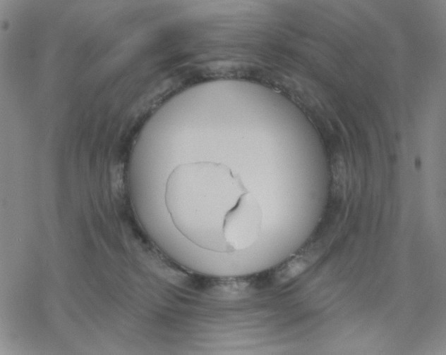 X0000076400278200610271626