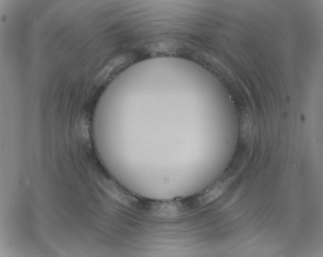 X0000076400282200610271626