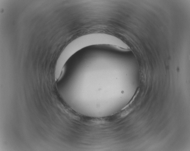 X0000076400284200610271626