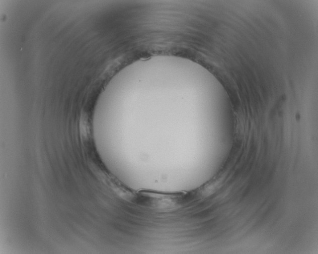 X0000076400287200610271626