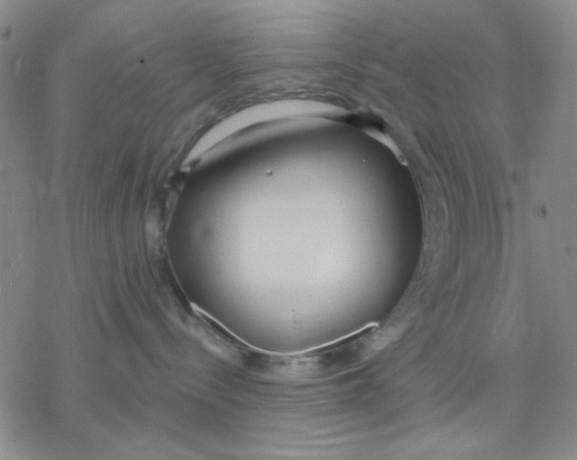 X0000076400288200610271626