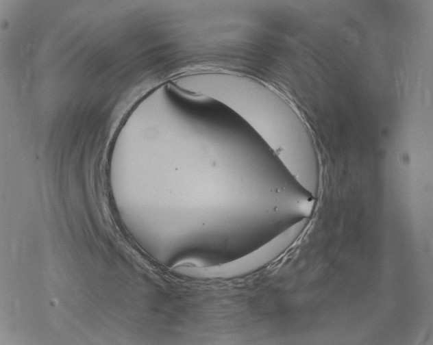 X0000076400289200610271625