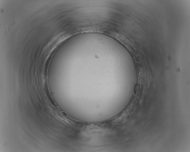 X0000076400290200610271625