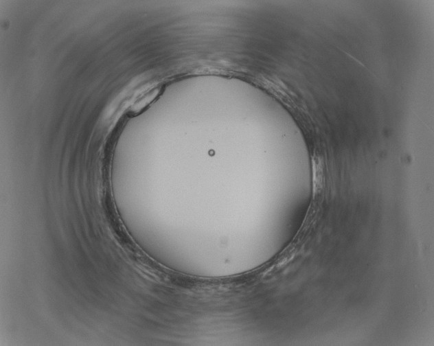 X0000076400291200610271625