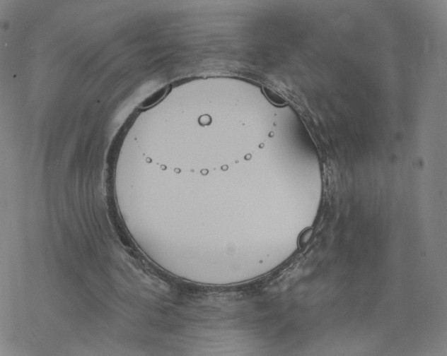 X0000076400292200610271625