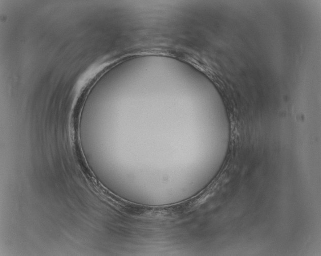 X0000076400294200610271625