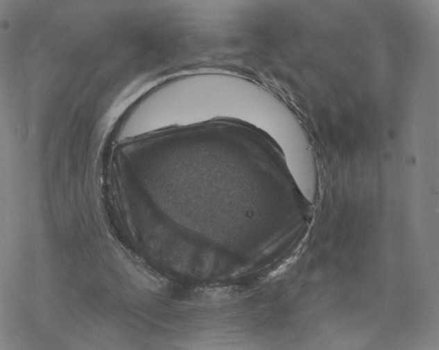 X0000076400295200610271625