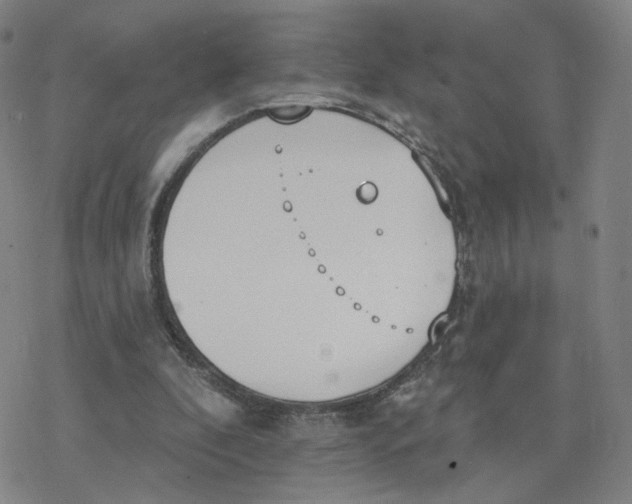 X0000076400296200610271625