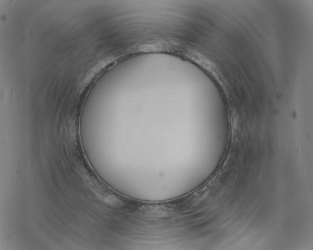 X0000076400297200610271625