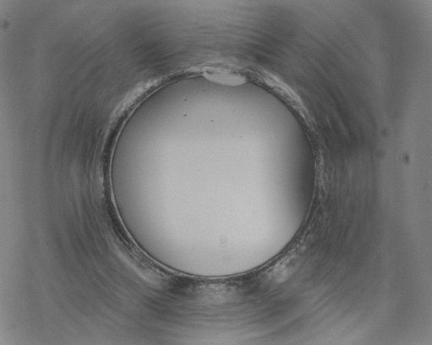 X0000076400298200610271625