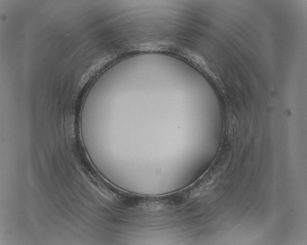 X0000076400299200610271625