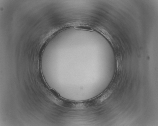 X0000076400301200610271625