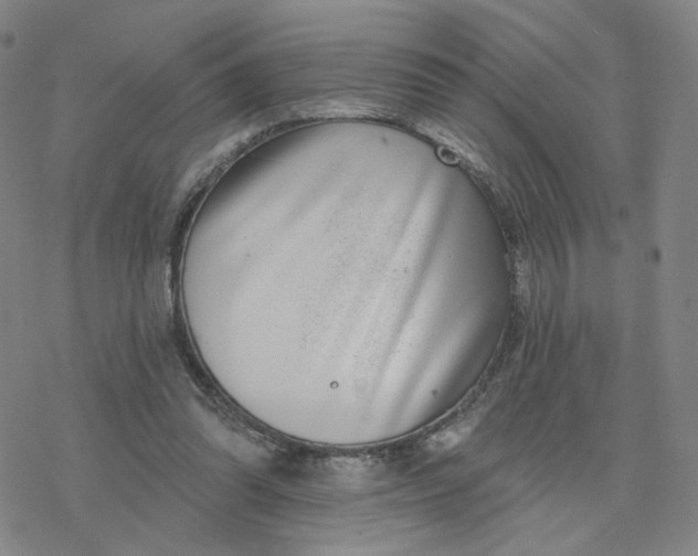 X0000076400302200610271625