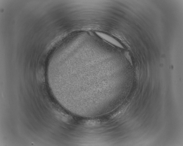 X0000076400303200610271625