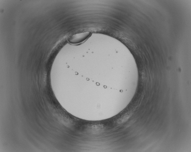 X0000076400304200610271625